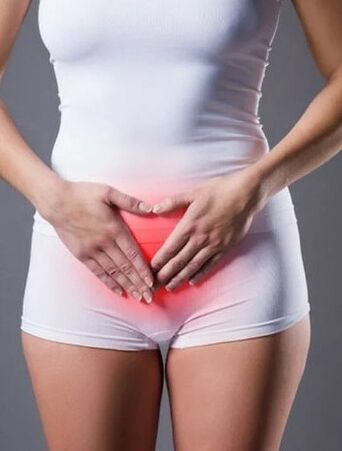 Bladder